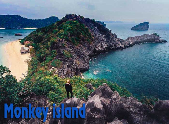 Monkey Island Monkey Island