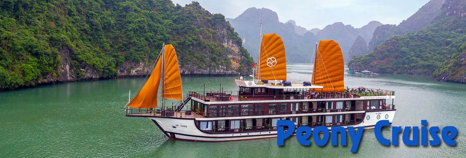 Peony Cruise